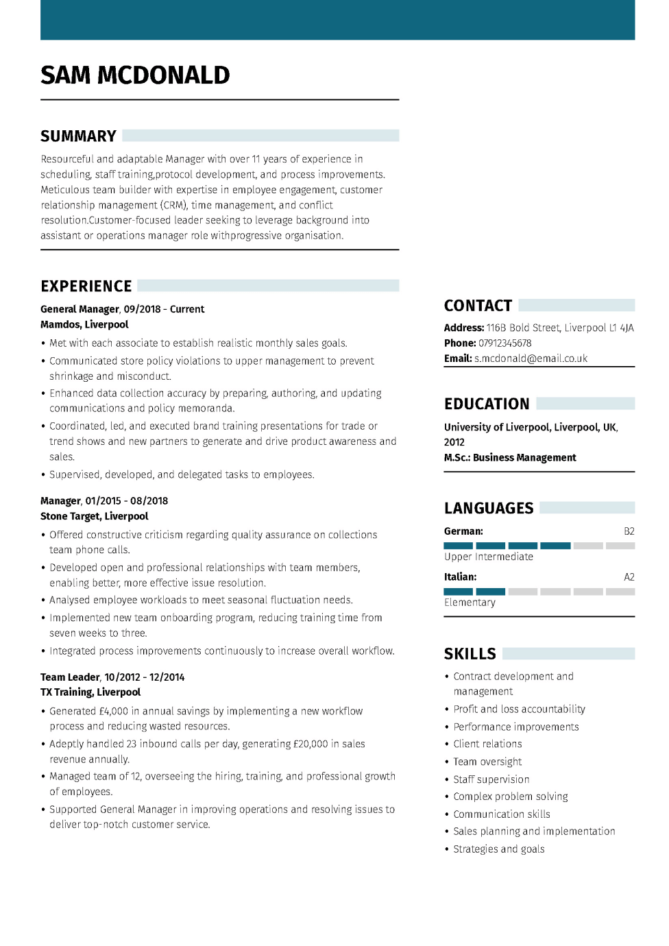 Basis CV-sjablonen