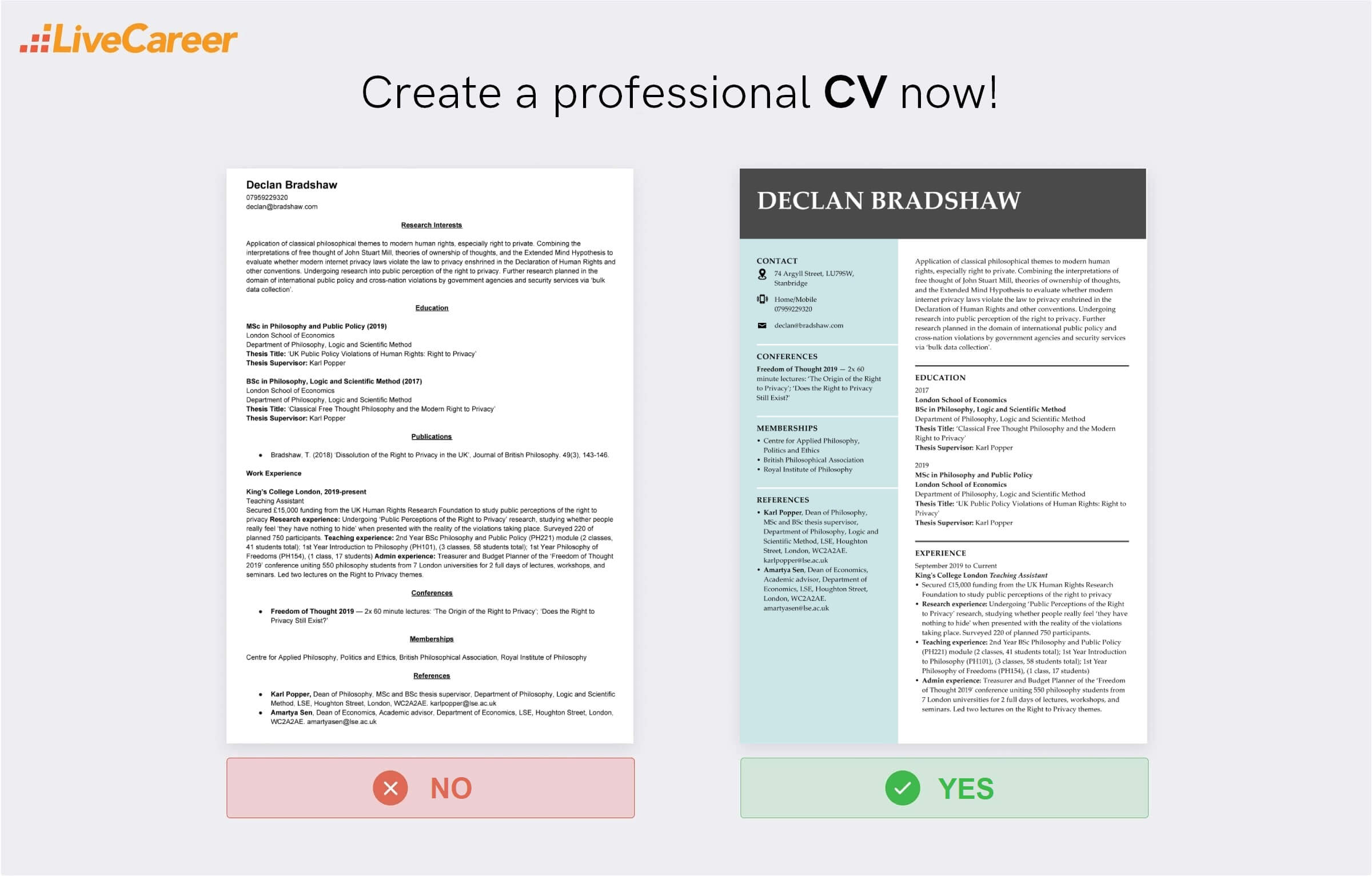 CV-ul academic