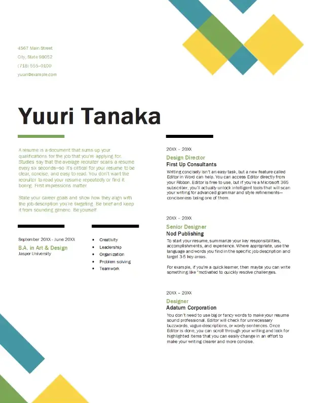 model de CV geometric