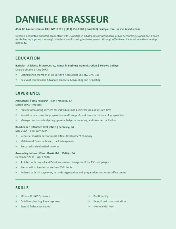 model de CV profesional pentru Word