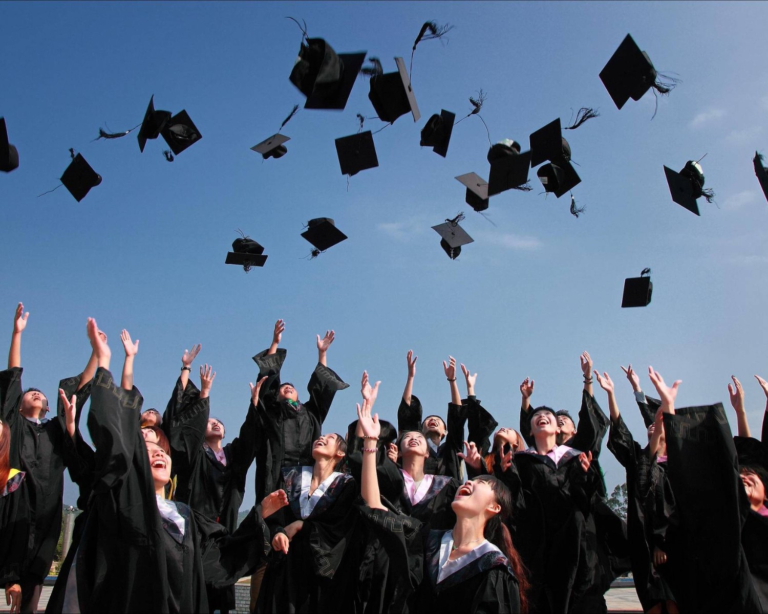 8 exemple, șabloane și sfaturi pentru CV-uri de absolvenți pentru 2025