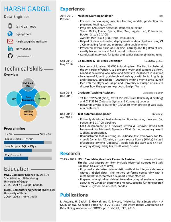 șablon CV latex