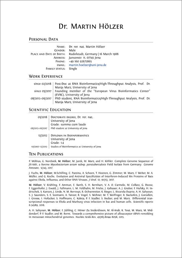 șablon CV latex