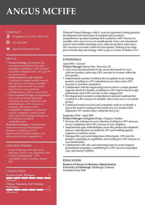 exemplu de CV de manager